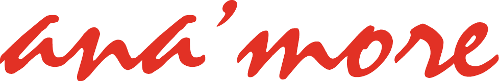 anamore_logo_2